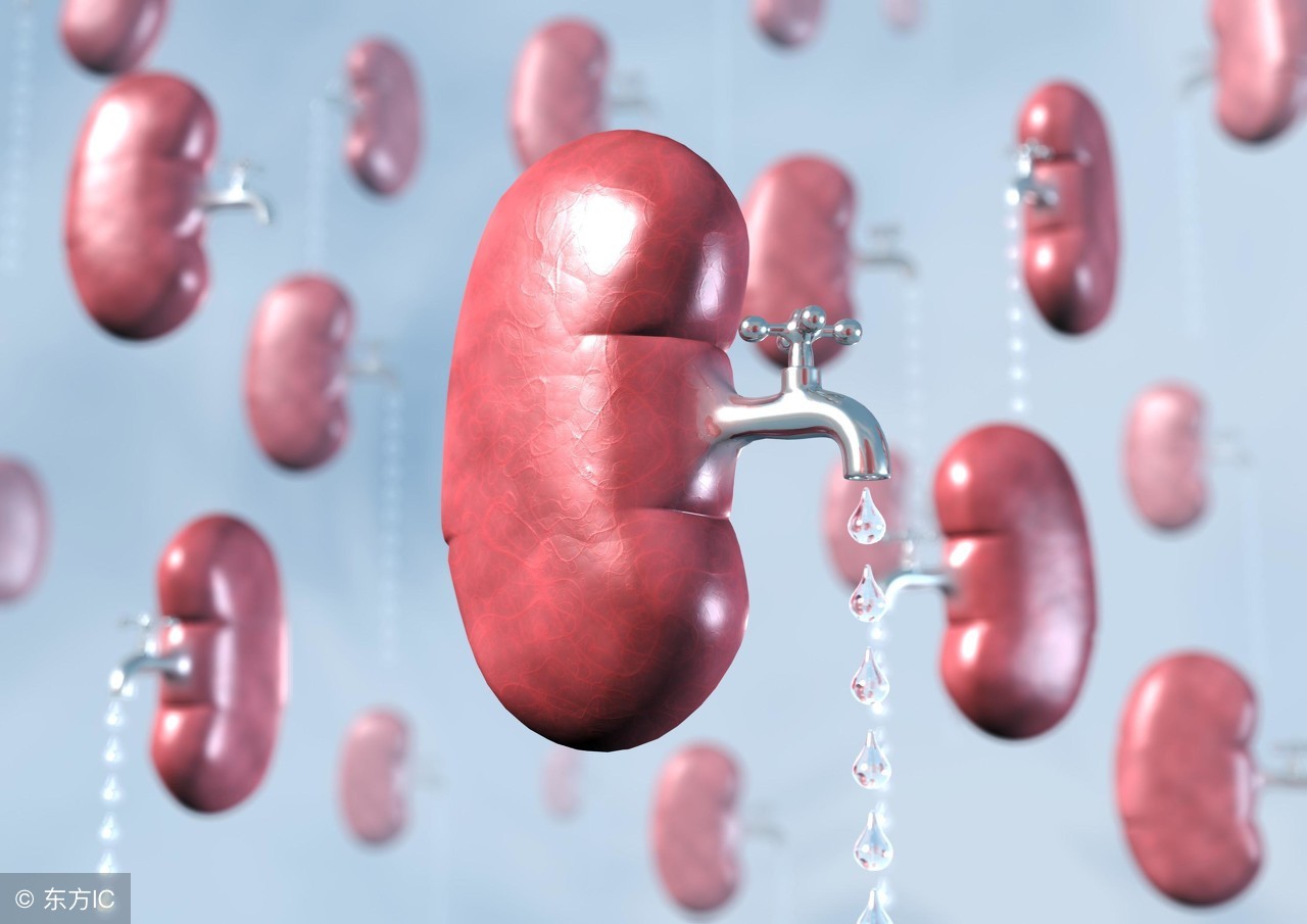 体检发现尿酸低该去医院看什么,尿酸高怎么办才可以降下来