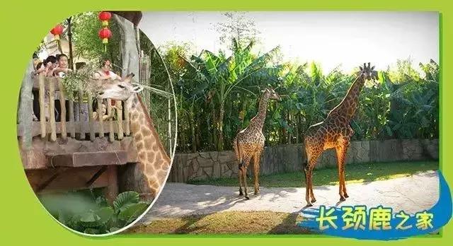 亲子游好去处!番禺周边的农家乐、游乐场、文化园…充实又好玩!