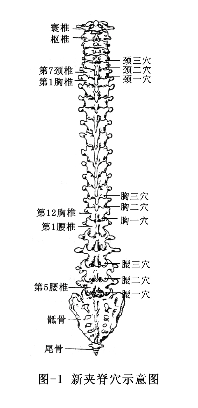 华佗夹脊穴、骨关节特定穴、阿是穴、经外奇穴，钩针技术一键搞定