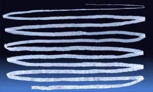 拉布拉多寄生虫,拉布拉多寄生虫会传染人吗