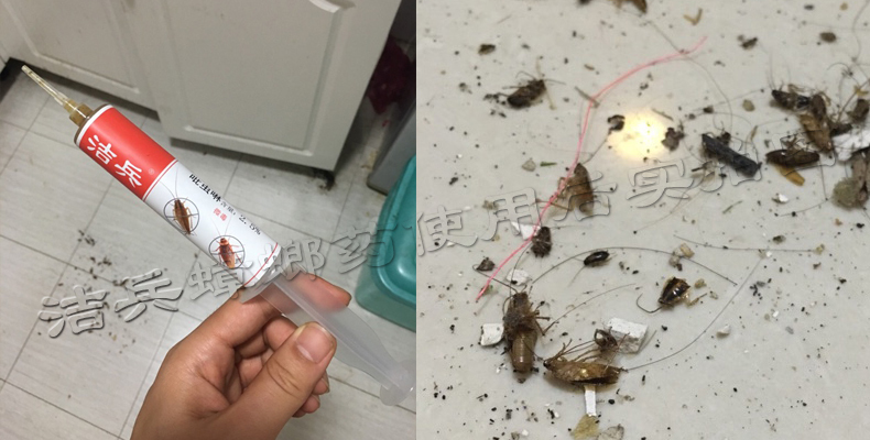 国产蟑螂药质量好的有哪些品牌,什么品牌蟑螂药好用