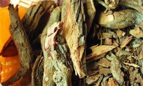 广东人参是怎样的,一文说清楚广东人参