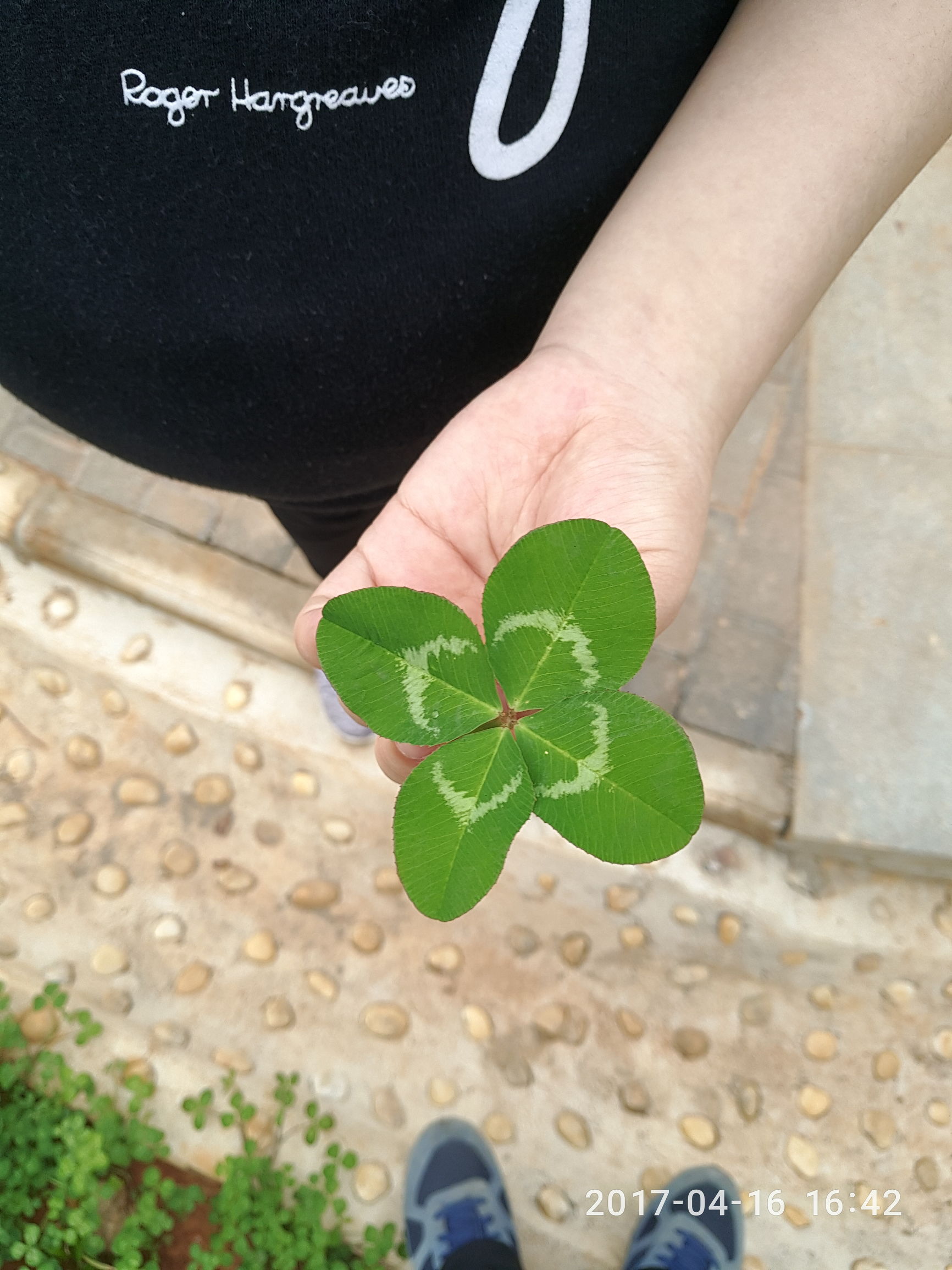 省妇幼生孩子费用及过程记录