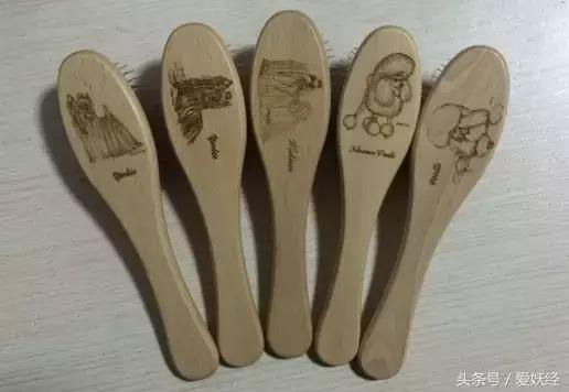 宠物洗护合集,宠物洗护攻略