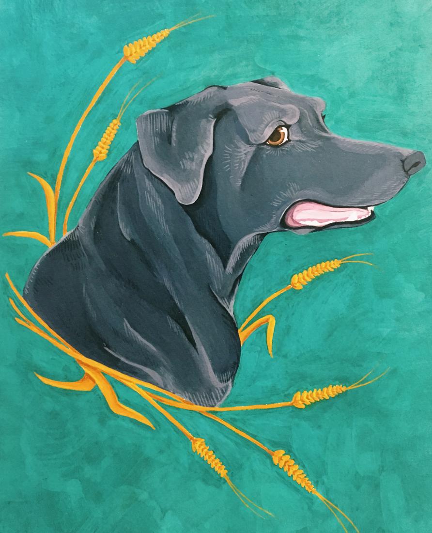 插画师hana美食插画,hannahjesus手绘插画