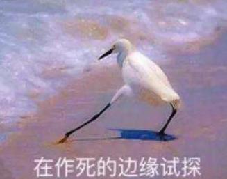 《偶像练习生》皇权富贵王炸四子乾坤正道异坤各种CP了解一下！