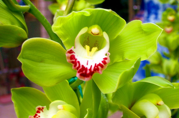 爱自然主题活动,爱自然爱生活视频