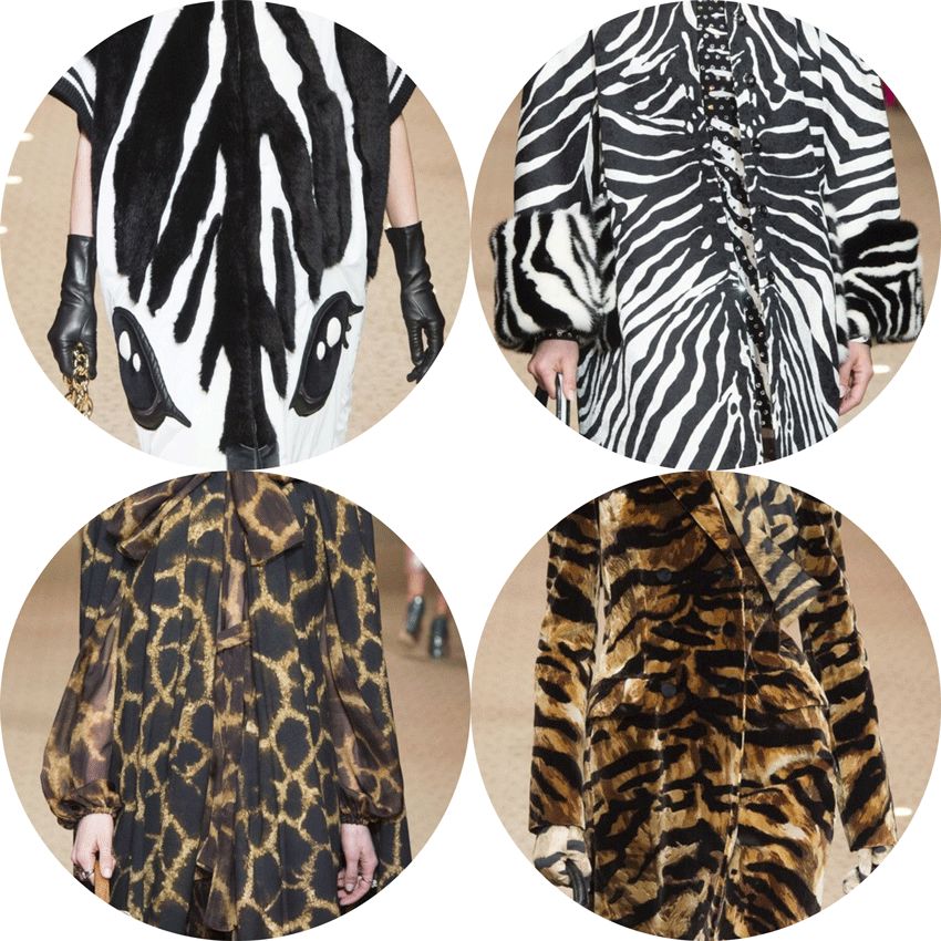 跟着王子凯”和“公主迪”看完这场杜嘉班纳大秀,你绝对不后悔