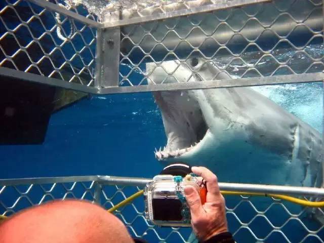 澳洲签证体检后多久签证可以获批,澳洲820签证转801签证需要多久