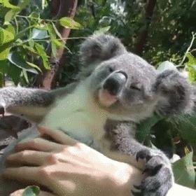 澳洲签证体检后多久签证可以获批,澳洲820签证转801签证需要多久