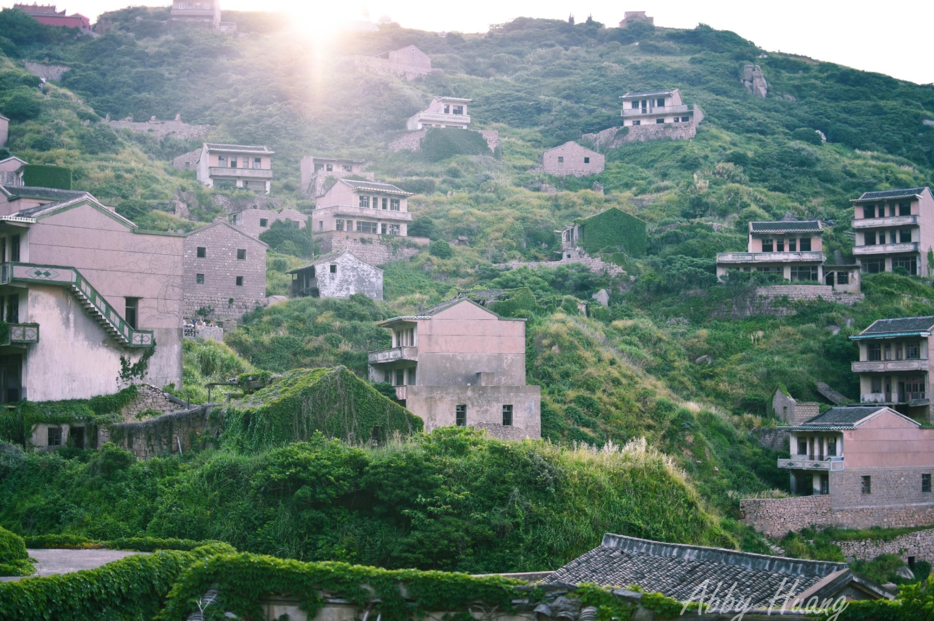 现实中的绿野仙踪,现实中真实版绿野仙踪