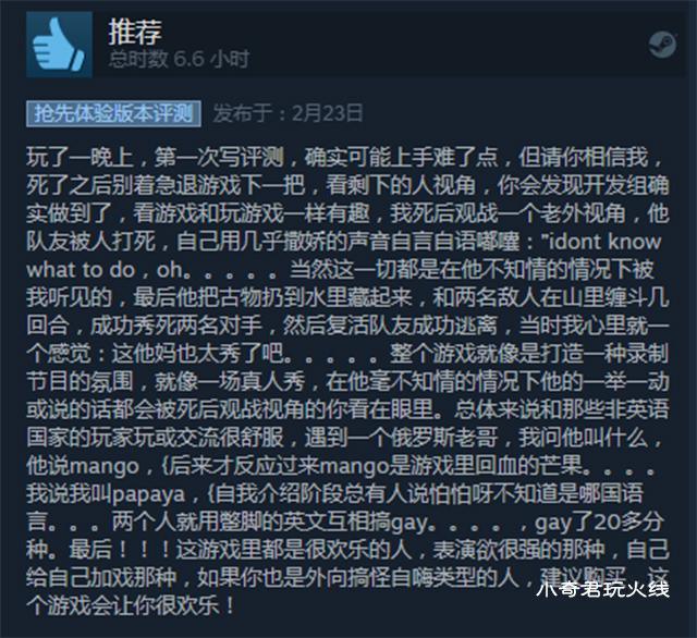 steam新出来的吃鸡游戏,steam最离谱吃鸡游戏