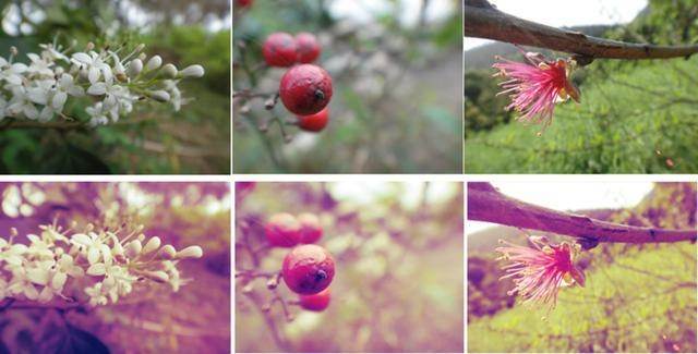 调色万能公式ps,PS基础调色教程