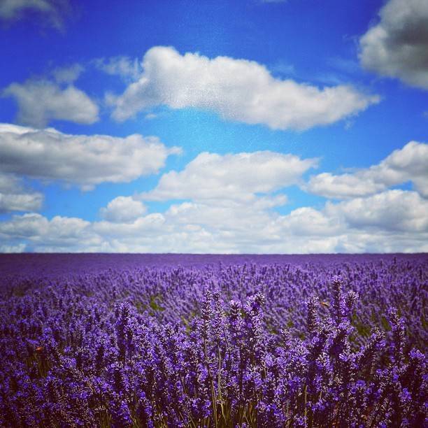 澳洲签证体检后多久签证可以获批,澳洲820签证转801签证需要多久