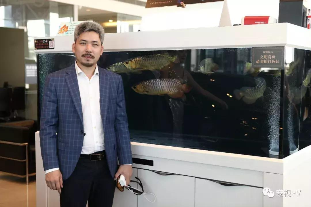 驯龙怎么让龙饿得快,如何让龙鱼改口吃饲料