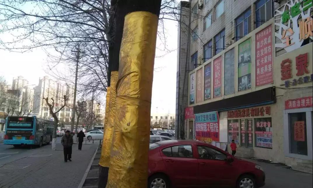 贺岁片,贺岁片新年