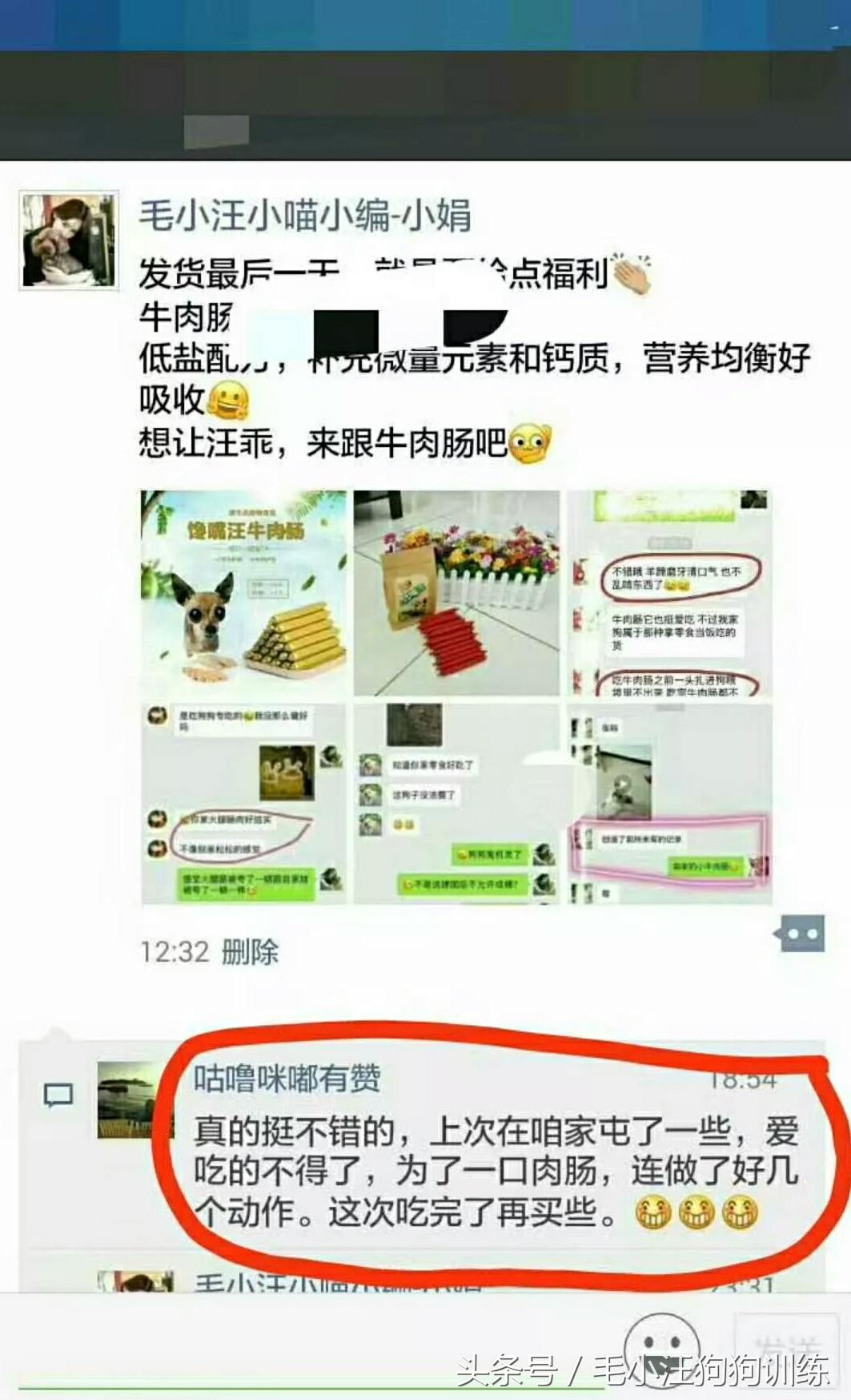 狗狗贪吃怎么训练,金毛狗狗挑食怎么办