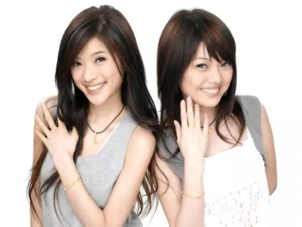 解散的二人女子组合,2017年解散的组合