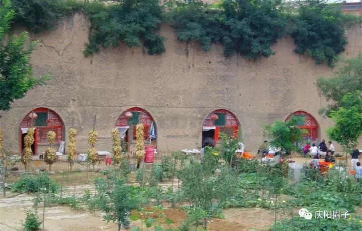 为什么甘肃人把“爸”叫“大”，尤其庆阳人！