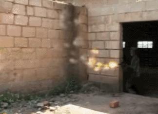 什么鬼完整版视频,什么鬼片更搞笑