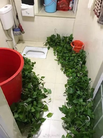 装修简单也是一种美,有一种装修叫爸妈的审美