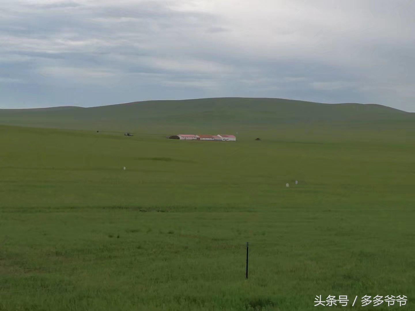 锡林郭勒盟边境自驾穿越,锡林郭勒大草原中蒙边境游