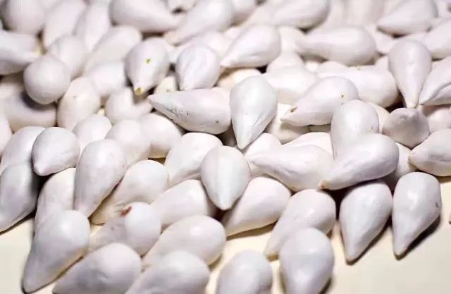 一碗团圆面的故事,一碗团圆作品