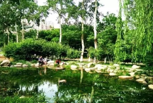 期盼已久的地铁线全线贯通,即将通车的5条地铁线