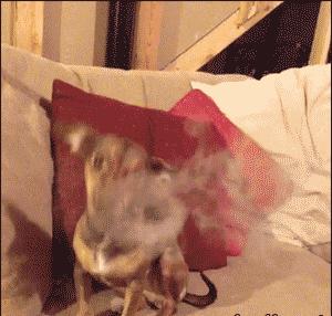 教你吸烟吐圈圈,张嘴吐烟圈教程