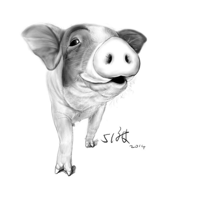 多读书，才能学会如何骂人不带脏字！