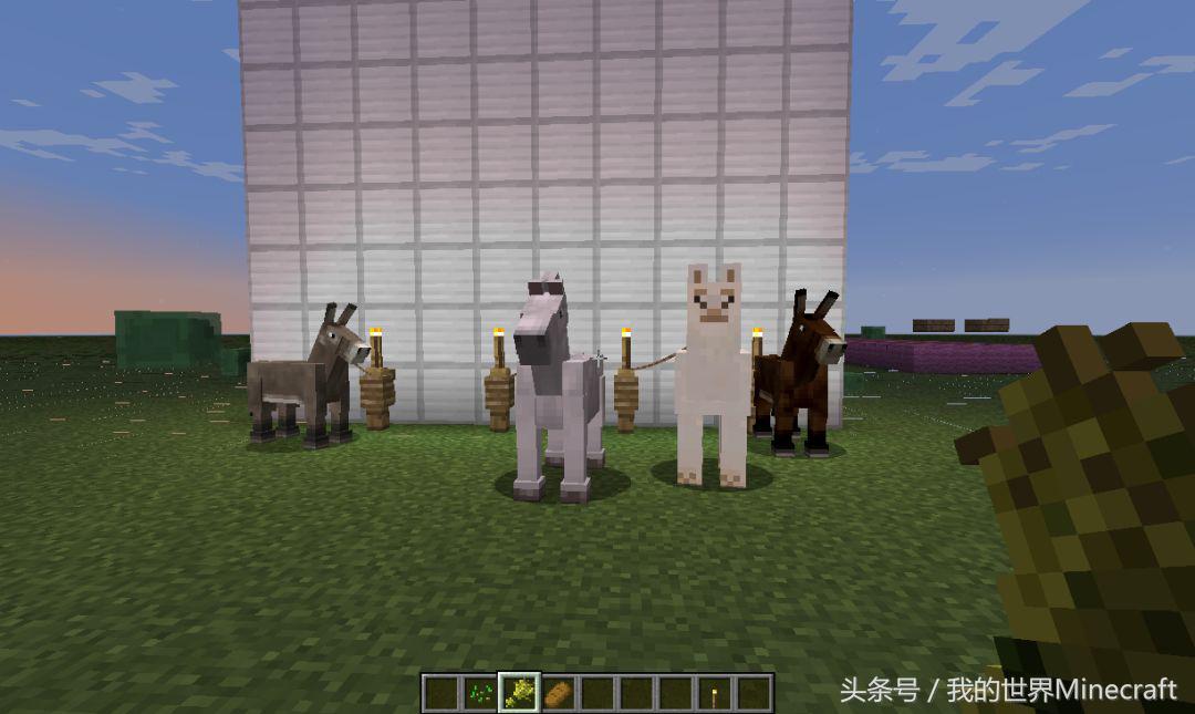 《我的世界》里的他们其实都有“血缘关系”苦力怕的亲兄弟是猪
