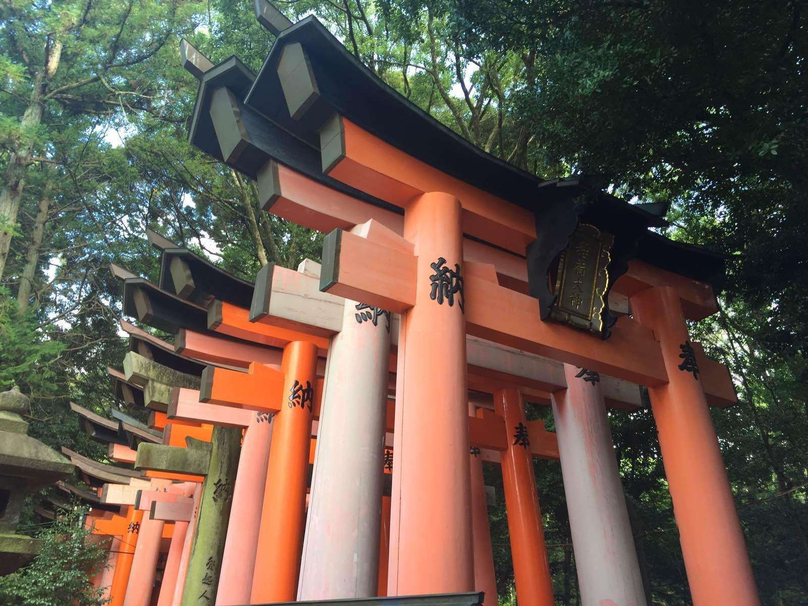 中国游客全球第一：美国游客消费额仅中国一半，这个国家最受欢迎