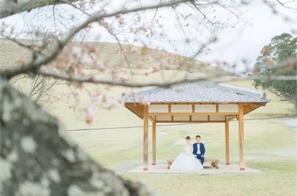 小清新婚纱照唯美图片,小清新婚纱照是不是很唯美啊