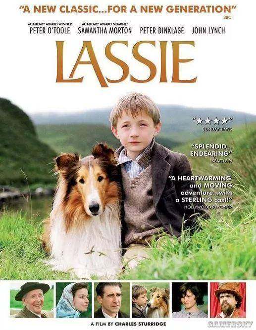 关于狗的电影你喜欢哪一部呢,十部关于狗的电影