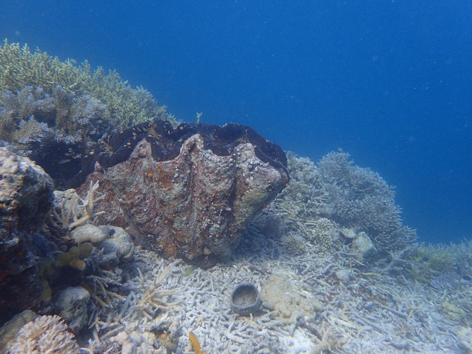 蜜月短途旅行,蜜月旅行遇见朋友闺蜜