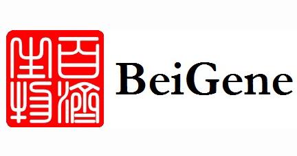 百济神州最新利好,百济神州最新进展