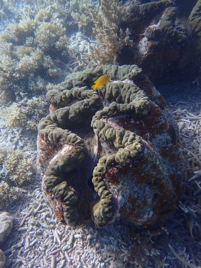 蜜月短途旅行,蜜月旅行遇见朋友闺蜜