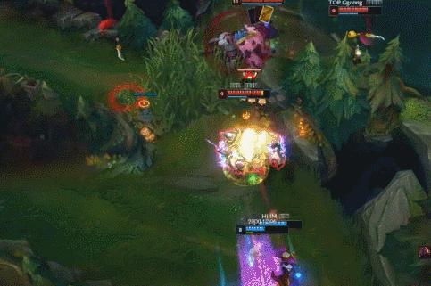 感受雷霆的咆哮狗熊,感受雷霆的愤怒