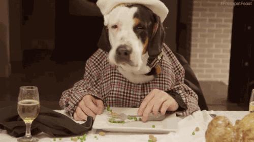 女生大专未来十年十大高薪职业,2030年十大高薪职业预测