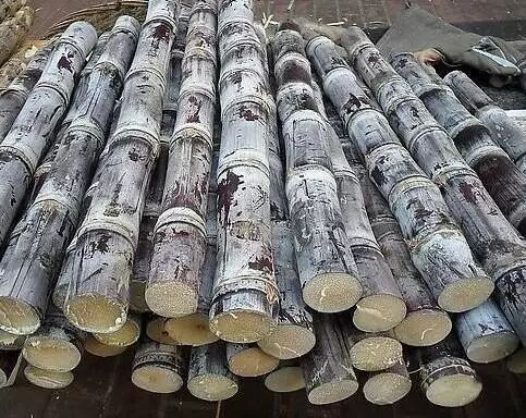 孕妇可以吃甘蔗糖吗,孕妇吃甘蔗会血糖升高吗