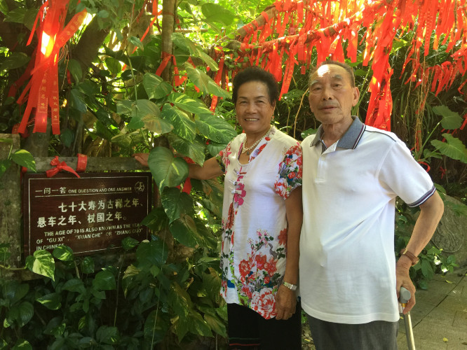 带上父母去看海完整视频,带你去三亚一起看海享受亲子时光