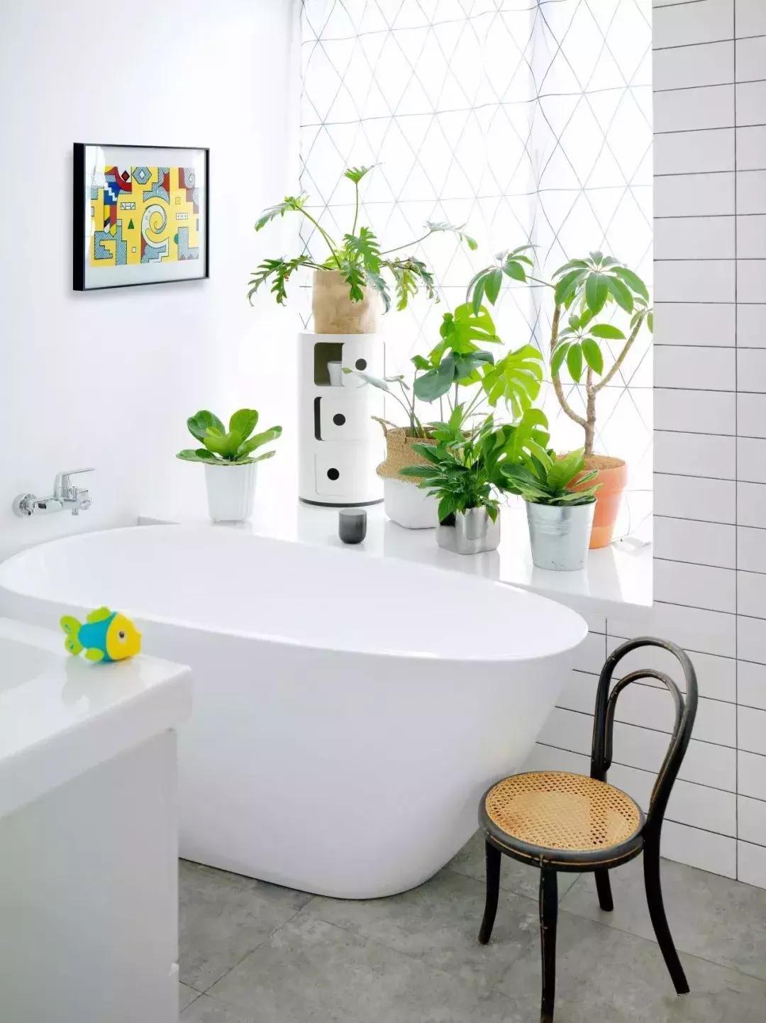 世界小姐张梓琳真实身高,世界小姐张梓琳资料