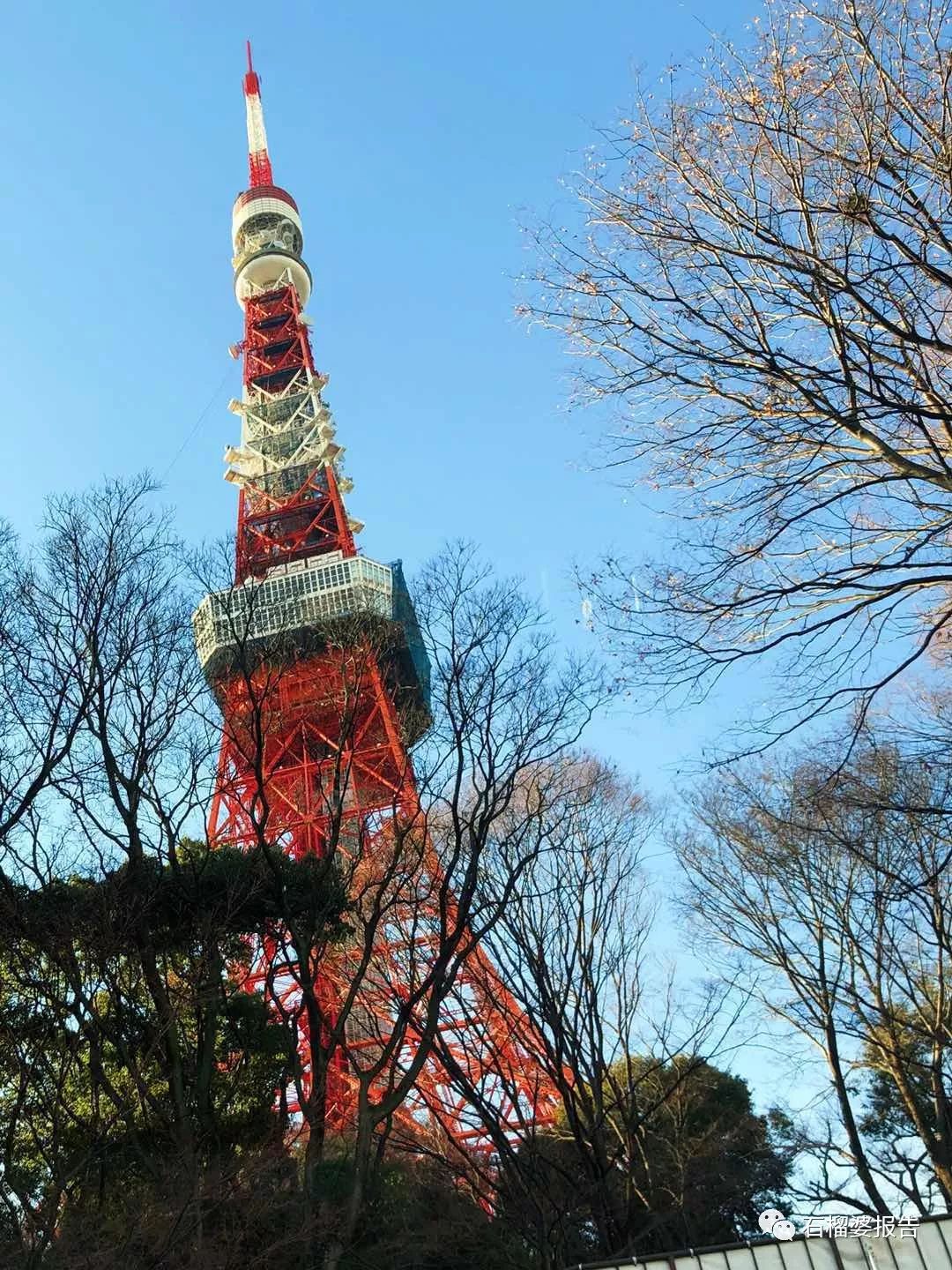 四世同堂一日游,四代同堂去旅游
