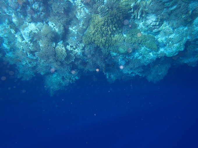 蜜月短途旅行,蜜月旅行遇见朋友闺蜜