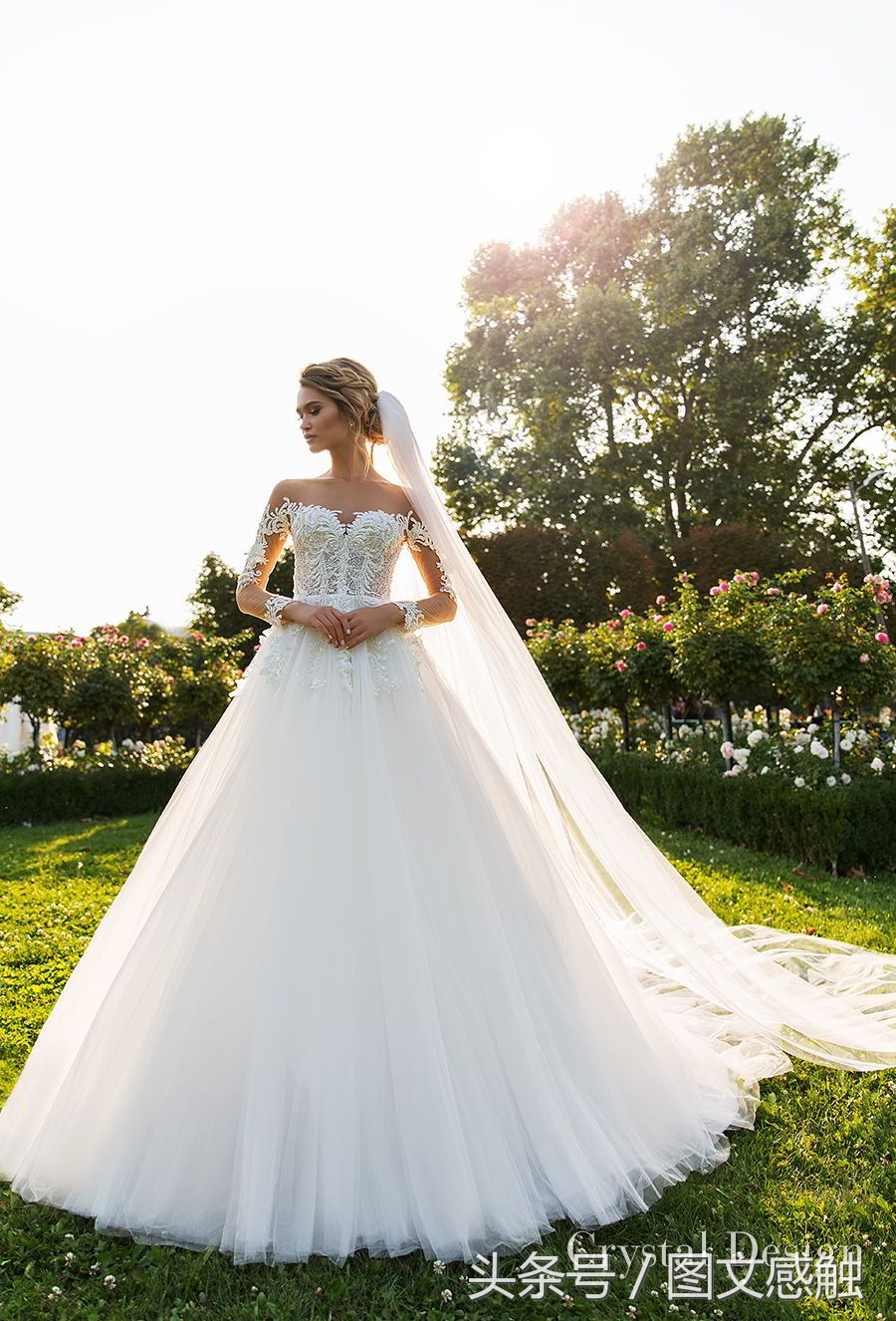 白银婚纱礼服设计,玫瑰婚纱礼服设计