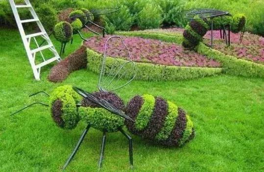 11月4，有群的都看看，太美了，这一辈子见一次值了！