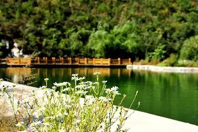 北京各区16处免费森林公园,森林公园北京有几个