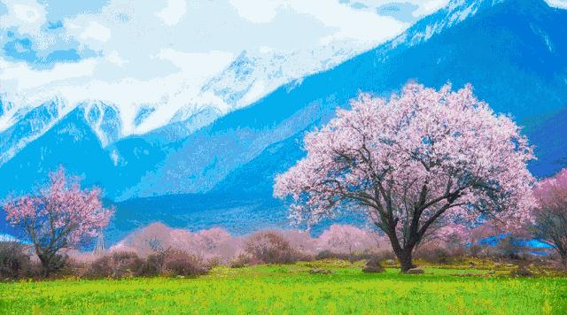 中国3月适合自驾的地方,自驾藏南旅游攻略