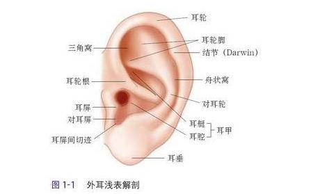 国际爱耳日为什么叫国际爱耳日,爱耳日宣传耳聋