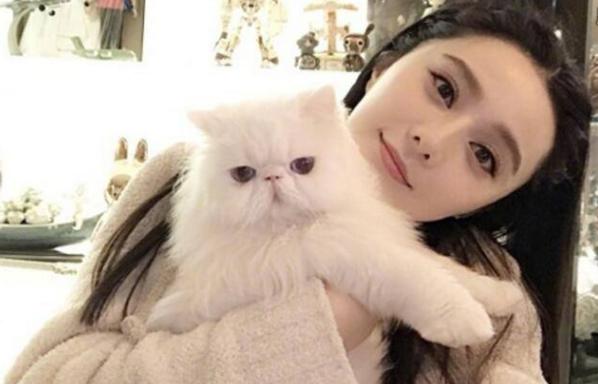 从白鼠冰到美妆店boss，范冰冰这手牌打得妙，心疼代购：累疯了！